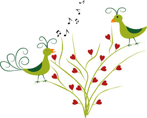 love birds