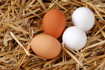 Brown and white eggs in straw