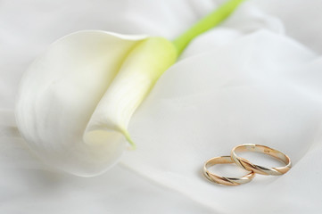 wedding rings and white flower on white