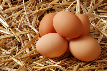 Pile of brown eggs in straw