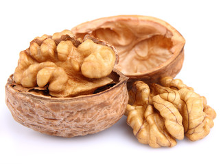 Dried walnuts in closeup