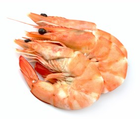 shrimps close up