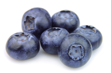 Blueberries on white background