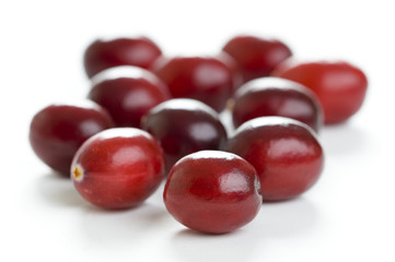 fresh cranberries isolated