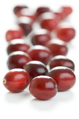 fresh cranberries isolated