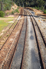 Fototapeta premium VÍAS O RAÍLES DE UN TREN. TRANSPORTE FERROVIARIO
