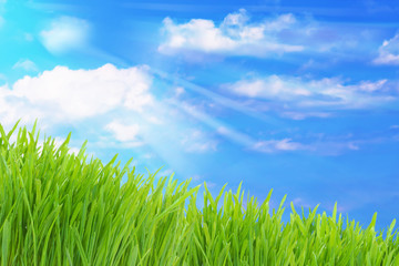 Fototapeta na wymiar Green grass and cloudy sky