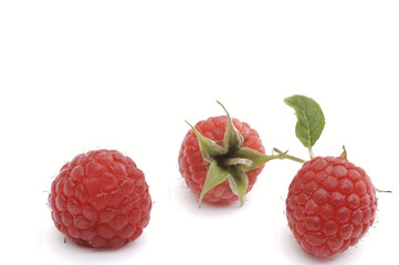 frische Himbeeren