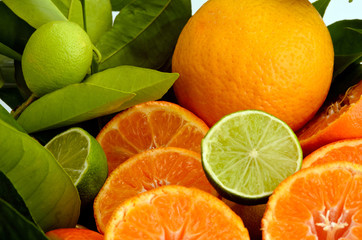 Oranges, citrons, mandarines et limes