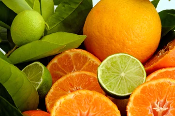 Poster Sinaasappels, citroenen, mandarijnen en limoenen © doris oberfrank-list