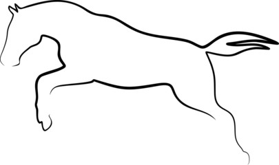 Pferd 1 © Fiedels