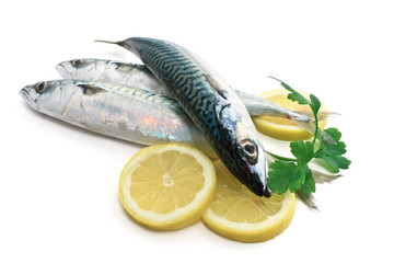tre sgombri - three mackerel with lemon and parsley