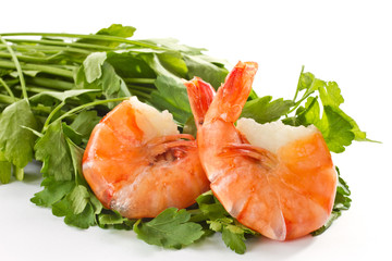 Shrimp
