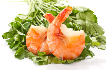 Shrimp