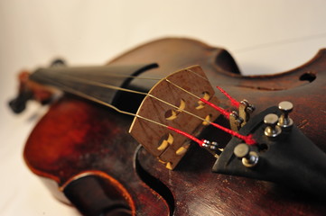 violin © AS