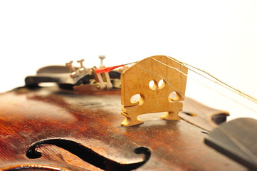 violin © AS