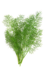 Dill Herb Leaf Sprig