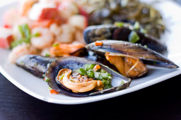 Mussel.