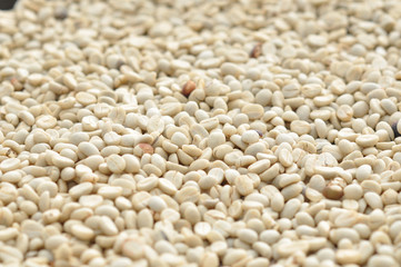 Coffee bean