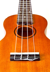 perspective of ukulele isolated