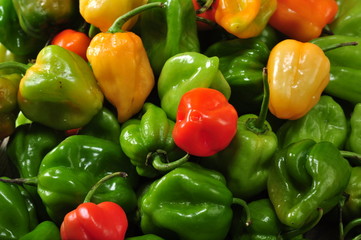 peperoncino messicano chile habanero