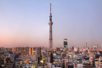 Obraz premium Tokyo Sky Tree, Japonia
