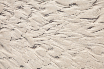 sandy shore background