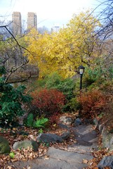 Central Park