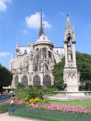 Fototapeta na wymiar Notre Dame w Sydney