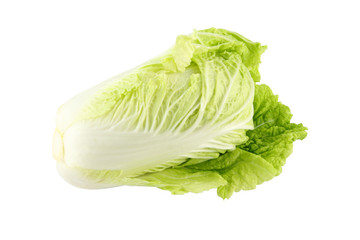 Chinese cabbage head on white background.