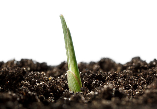 Life beginning concept