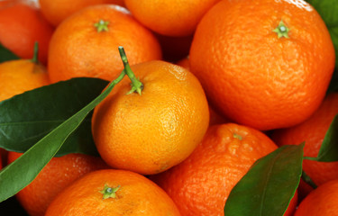 Ripe tasty tangerines with leaves closeup