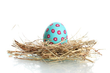 Blue Easter Egg in little bird nest isolated on white