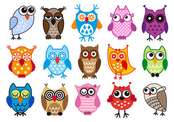 Obraz premium colorful vector owls