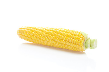 ripe yellow corn isolated on white