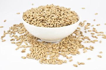 Dinkelkörner in weißer Schale