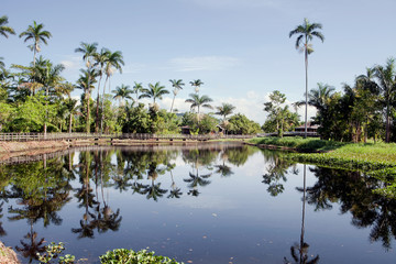 Obraz premium Beautiful lake in Jamaica