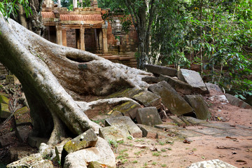 Ancient ruins of Ta Prohm