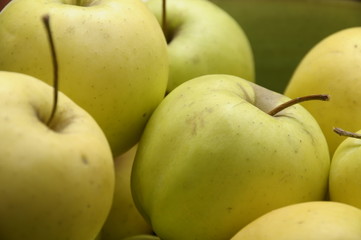 Yellow and green Golden apples in a green bowl.