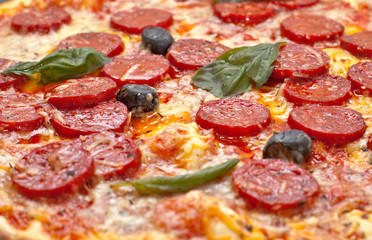 pizza