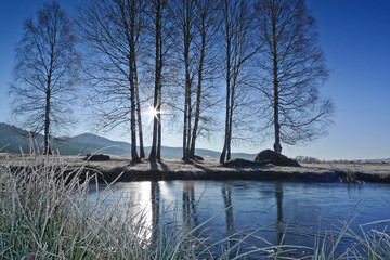 iced over pond and trees