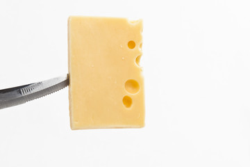 Käse