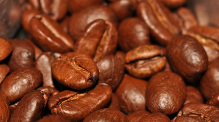 Kafe Beans