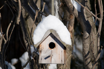 Bird nesting box in snow