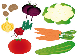 Set of colorful isolated vegetables