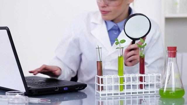 Scientist with magnifying glass examines plants in test tubes