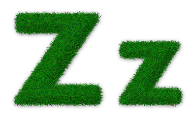 Grassy letter Z