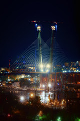 Obraz premium city at night with lights and cable-stayed bridge