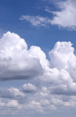 Obraz na płótnie Canvas white fluffy clouds