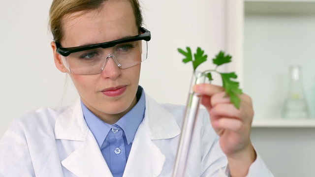 Female biochemist analyzing plants and writing results